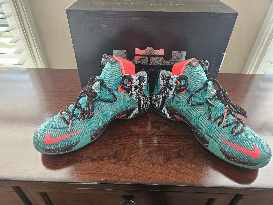 lebron 12 akron birch