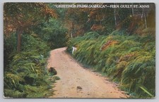 Jamaica Fern Gully St Anns Scenic Road Foliage Duperly