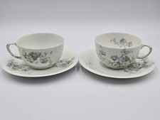 Antique J. Pouyat Limoges Tea Cup Saucer Set of 2 France Green Blue Floral Rare