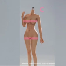 VERYCOOL VCD -02C 1/6 Standard Universal Women Silicone Body for 12" Figure