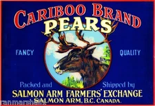 Salmon Arm B.C.Canada Cariboo Deer Pear Fruit Crate Label Art Print