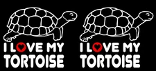 I LOVE MY TORTOISE - Two 5" White Vinyl Decals Sulcata, Turtle, African, Gopher