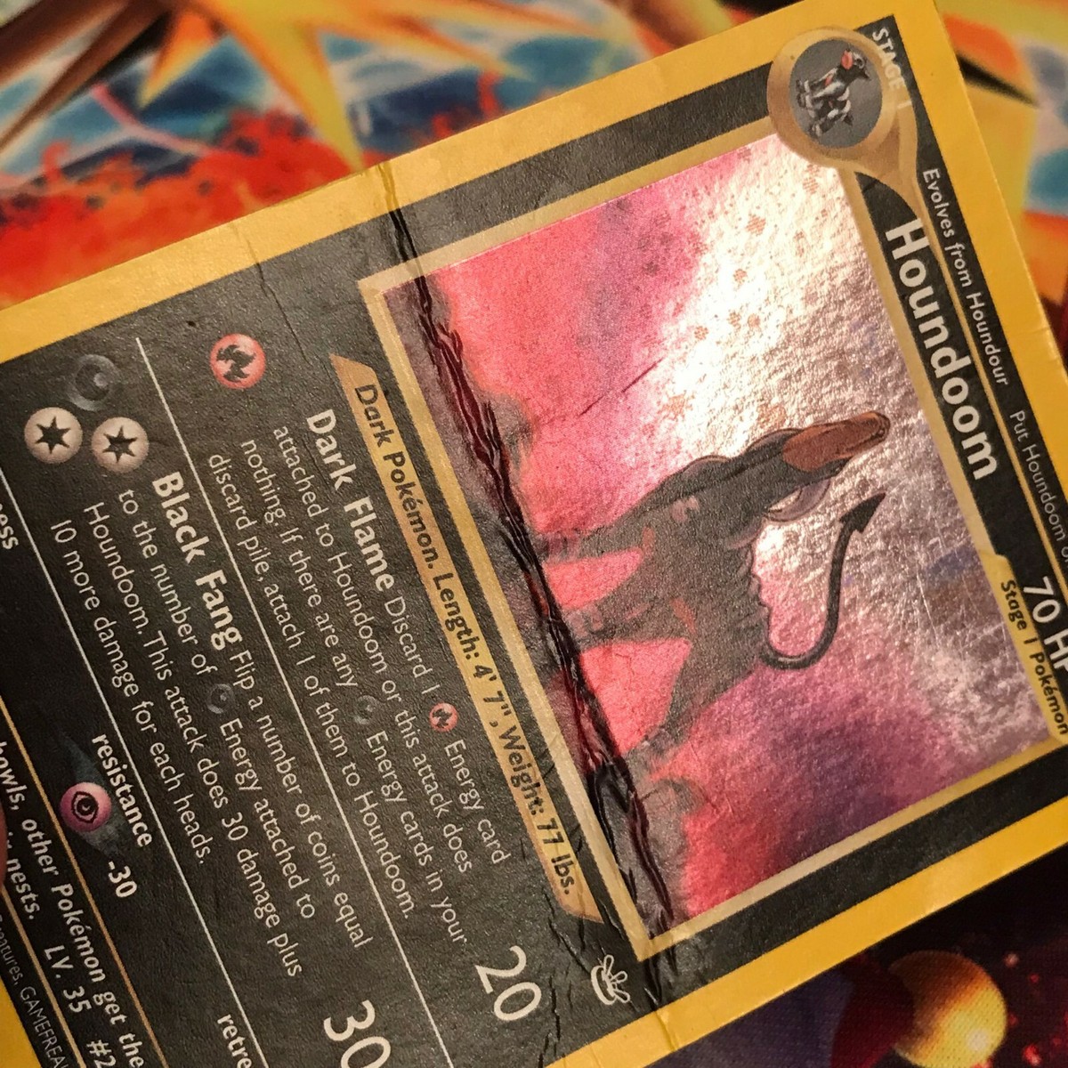 Houndoom ~ 8/64 ~ Holo Swirl ~ NEO REVELATION ~ DAMAGED