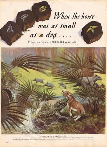 Electronic publication (PDF) Signal magazine No 2 from 1940 english edition - Picture 7 of 10