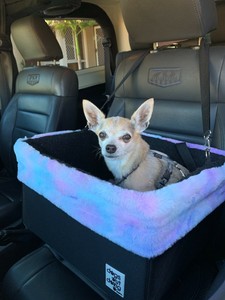 rainbow booster seat