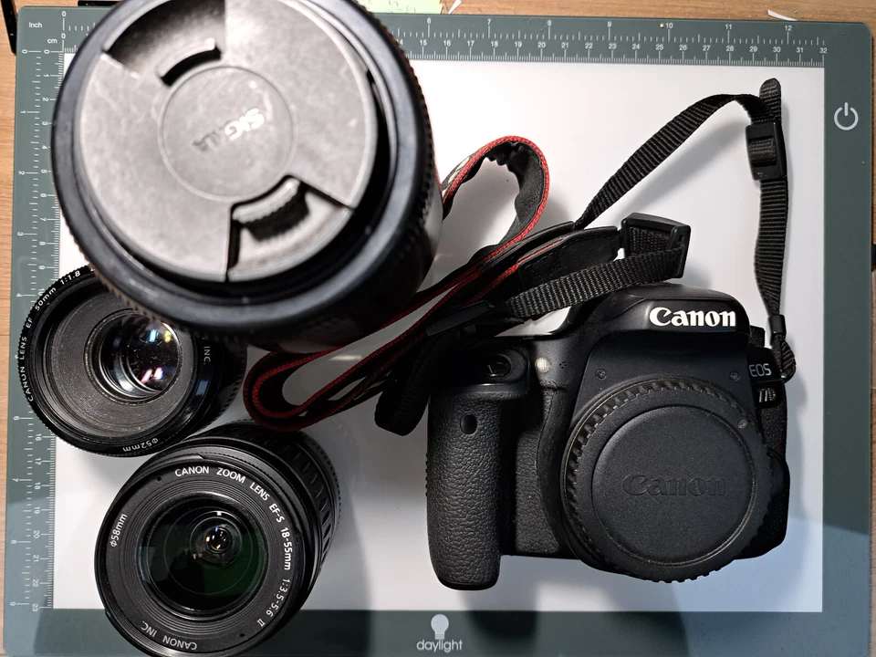 Canon EOS 77D  + Objectif Canon EFS 18-55mm + Canon 50mm + Sigma 70-300mm, photo 1 sur 5