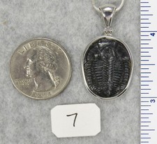 Elrathia Kingii TRILOBITE PENDANT $59 Sterling Silver Jewelry STARBORN CREATIONS