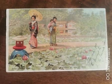 Old postcard - Japan - A Field of Water Lilies, Raoul Shoes