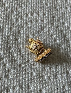 Mason/Masonic Pin Seed Pearls DeMolay Advisor Vintage