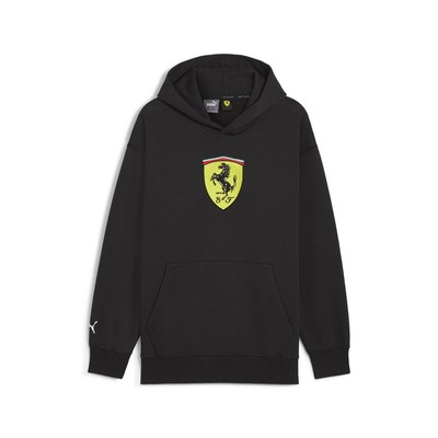 Puma Sf Race  Shield Pullover Hoodie Mens Black Casual Athletic Outerwear 627054