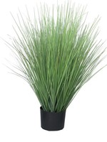 Artplants Deko Gras Rutenhirse Yamin, GrüN, 75 Cm
