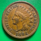 1894 US Indian Cent C290