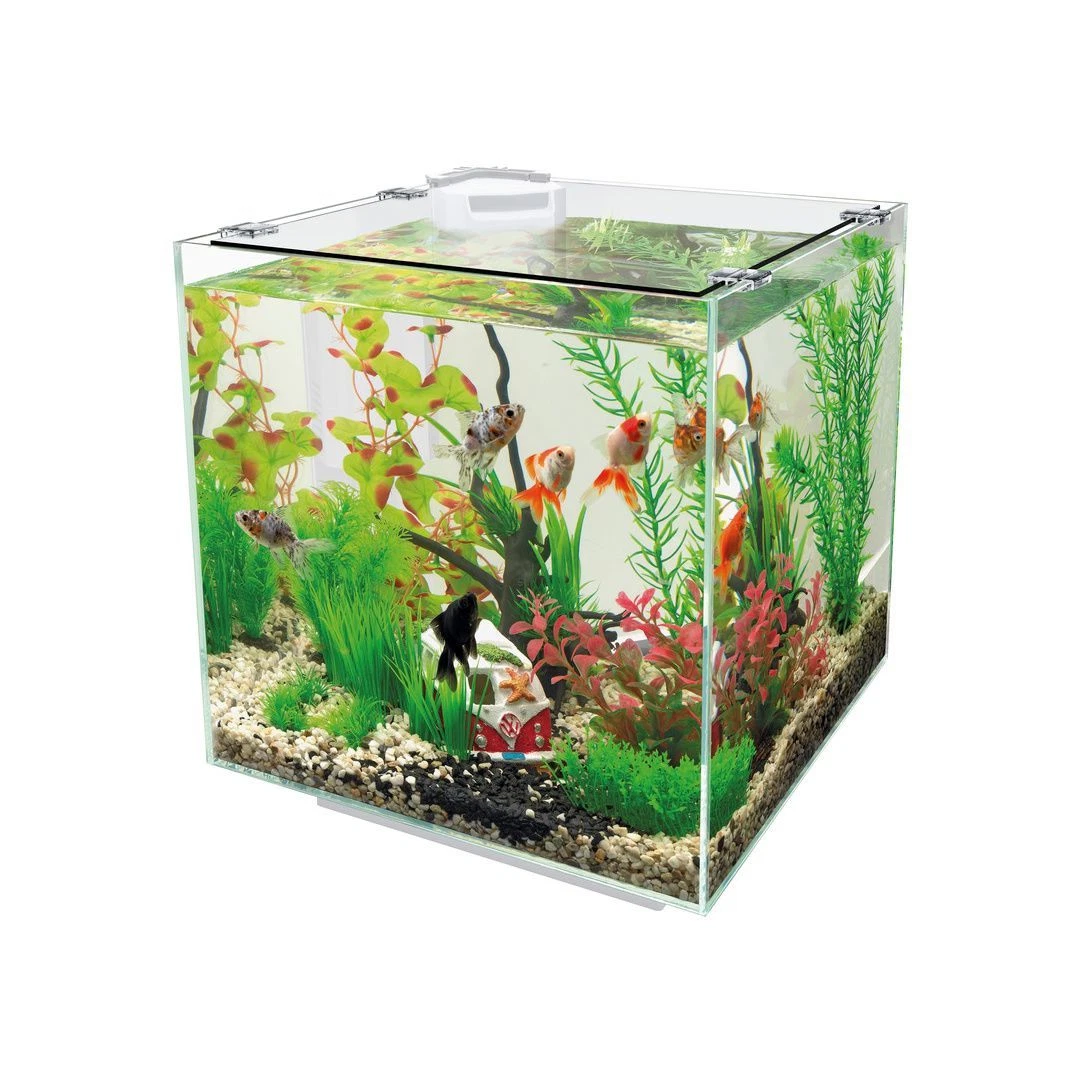 Superfish Aquariums Collection - Aquarium Store in Henlow