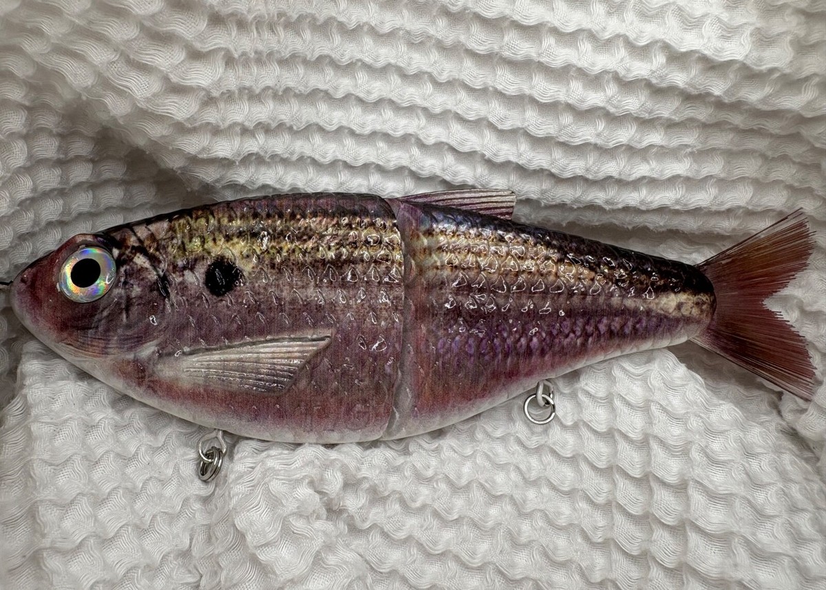 Esca Nuotante TYG Silencer Shad Glide 7 Pollici Personalizzata – Colore Bianco Affondante - 5
