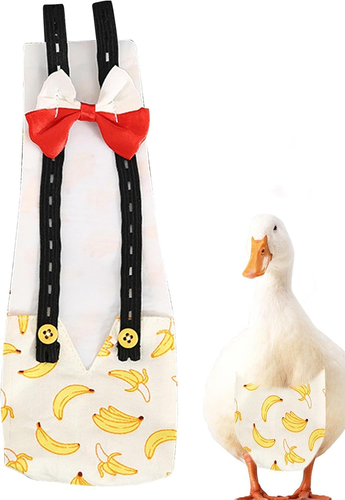 Pannolini Di Anatra, Pannolini Di Pollo | Pannolini per Pollame per Animali Dome - Foto 10 di 12