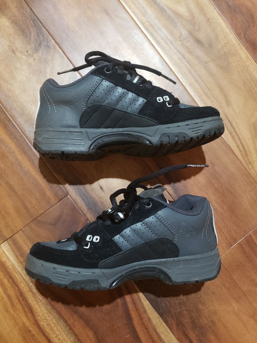 heelys soap shoes