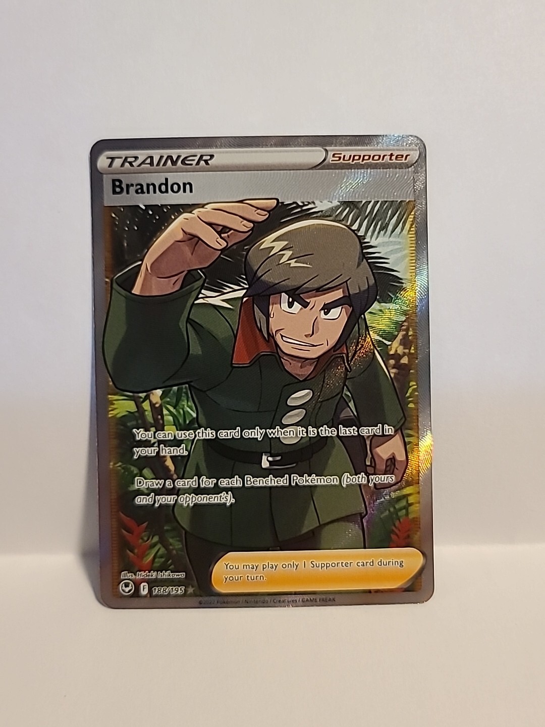 Brandon - 188/195 [Silver Tempest] Pokemon TCG - FULL ART TRAINER - NM