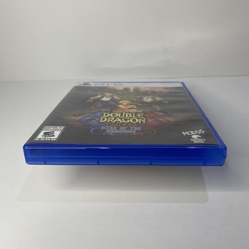 Double Dragon Gaiden Rise of The Dragons Sony PS5- OG Stickers + Poster Included - Picture 7 of 13