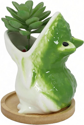 Cute Frog Succulent Planter Pot with Drainage Tray, Small Ceramic