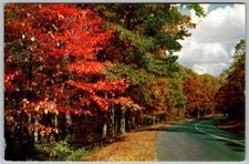 Vtg Postcard George Washington's Grist Mill Route Mount Vernon, VA 1950s