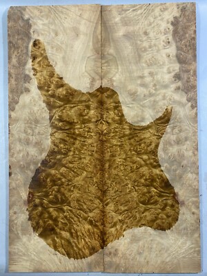 Electric Guitar Top Set Golden Camphor  Wood Burl Luthier Supply 