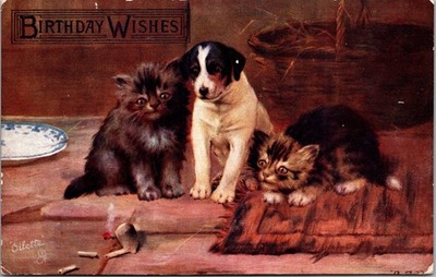 Postcard Tuck Birthday 9157 When Cats are Kittens What Is It Cobbe REPAIRED