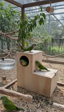 Boot Nest Box 14"x14"x7" Quakers, conures, indian ringneck