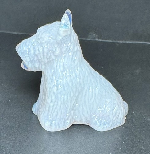 Boyd Glas Duke Scottie Hund Lachs