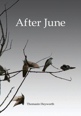 AFTER JUNE by HEYWORTH, THOMASIN Hardback Self Help Business