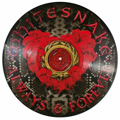 Whitesnake - Always & Forever Ltd 12'' Maxi Picture Vinyl 1000 worldwide NEU OVP