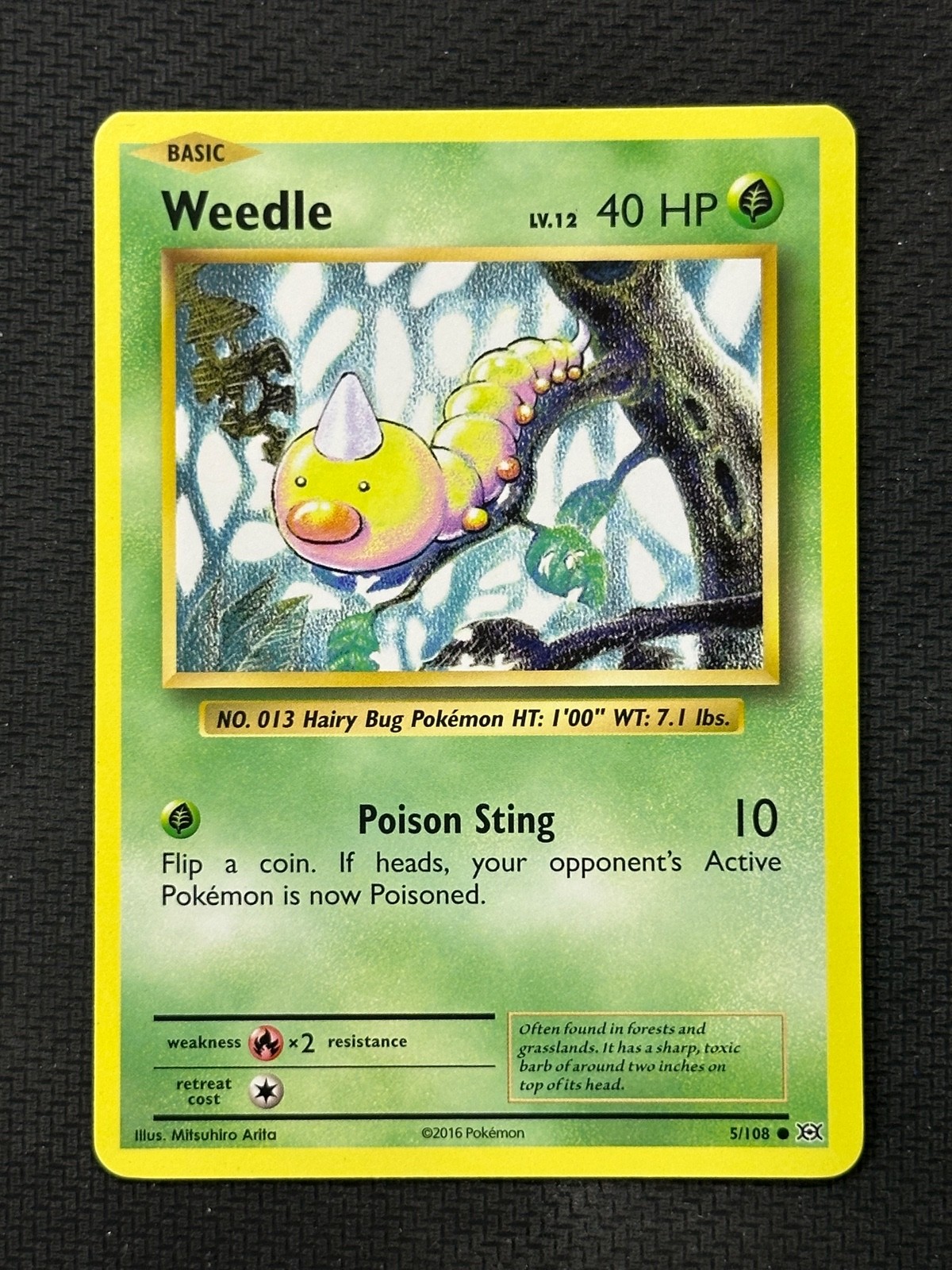 Weedle Common XY - Evolutions 5/108 NM