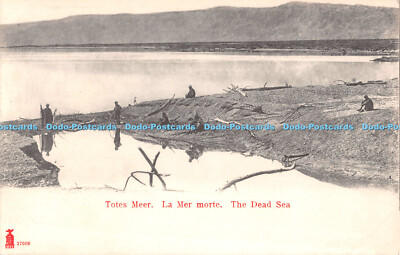 R555592 Totes Meer La Mer Morte Das Tote Meer