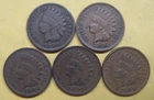 Five Indian Pennies with Five Different Dates--ALL in Good+ Take a Look