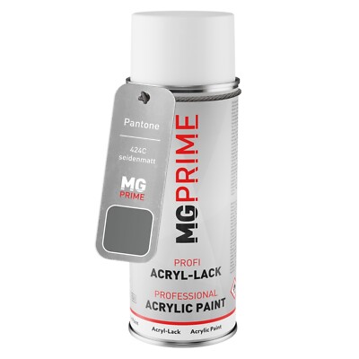 Pantone 424C Grey Spraydose 400 ml seidenmatt schnelltrocknend