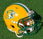 Northern Michigan Wildcats Football Mini Helmet And Other Versions