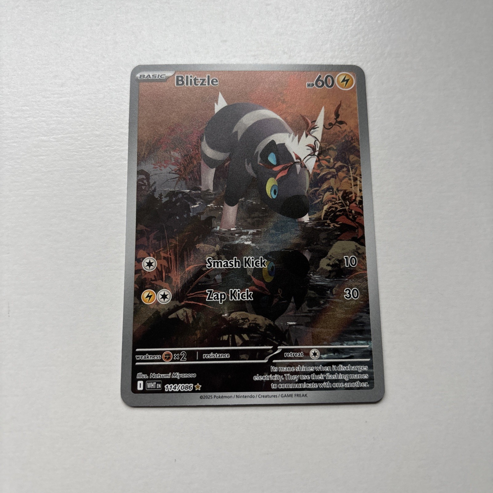 Blitzle 114/086 SV White Flare Rare Full Art Holo (Pack Fresh NM/M)