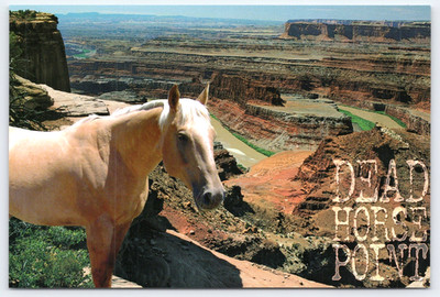 UT Moab, Dead Horse Point State Park, Colorado River, Chrome Unp 6 x 4