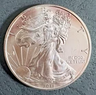 1 American Eagle 2011 Silver .999 One Ounce Coin
