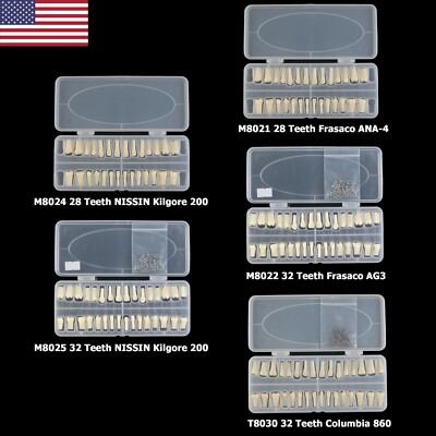 Dents De Remplacement Pour Typodont - 28/32 Dents - Modèles NISSIN, Kilgore, Columbia, Frasaco
