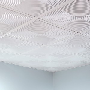 Fasade Echo 2ft X 2ft Lay In Ceiling Tile Ceiling Panel Ebay