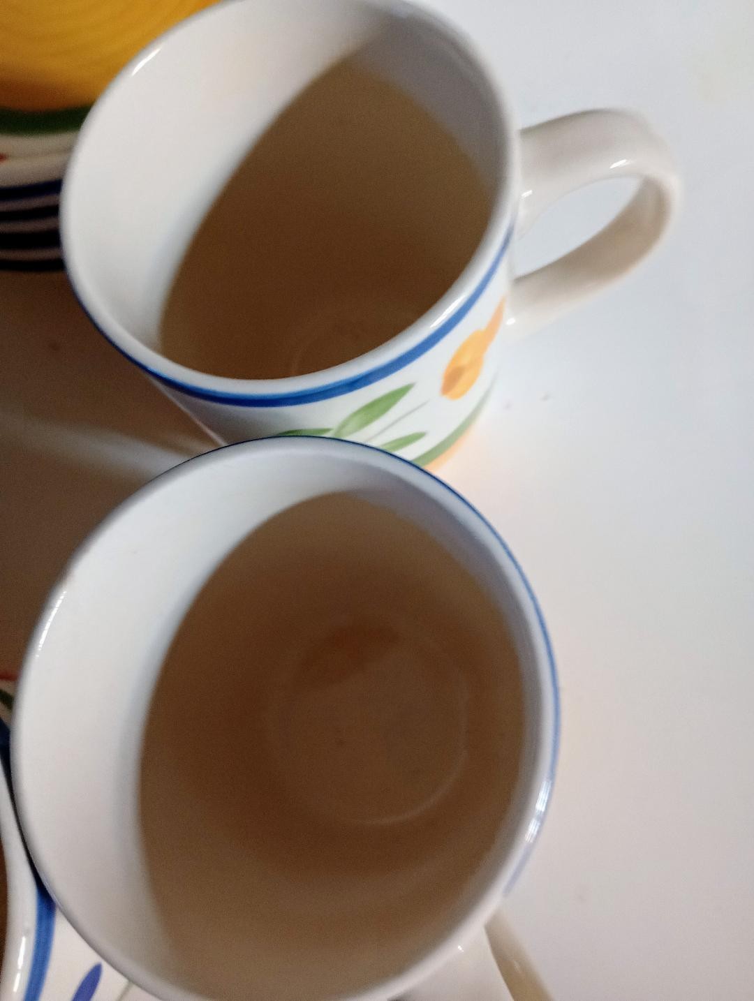 Pier 1 Imports Hand Painted Stoneware 16 Pc. Dishes