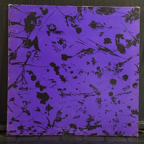 PRINCE WHEN DOVES CRY 1984 Warner Bros Promo 12” 1st Press PRO-A2139 Purple Rain