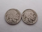 (2) 1919 P U.S. Buffalo Nickels WI-1