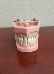 VINTAGE COLUMBIA DENTOFORM CORP NEW YORK 661,662 DEMONSTRATION MODEL 