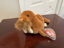 Ty Beanie Baby "Paul" the Walrus Retired December 23 1999