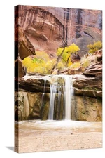 Stretched Canvas Print Coyote Gulch Utah Part Of The Glen Canyon National Rec...