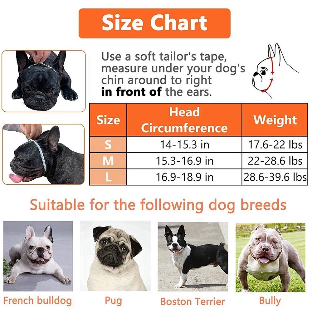 English bulldog top grooming products