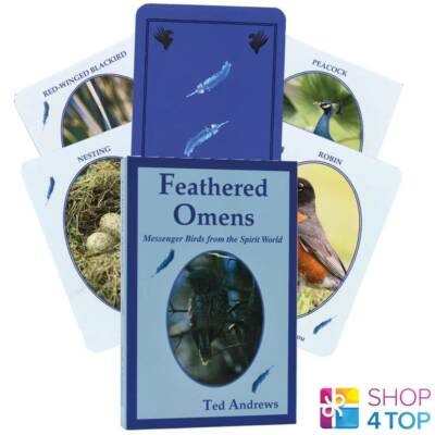 Federnde Omen Boten Vögel Aus Der Geisterwelt Karten Deck Dragonhawk Neu