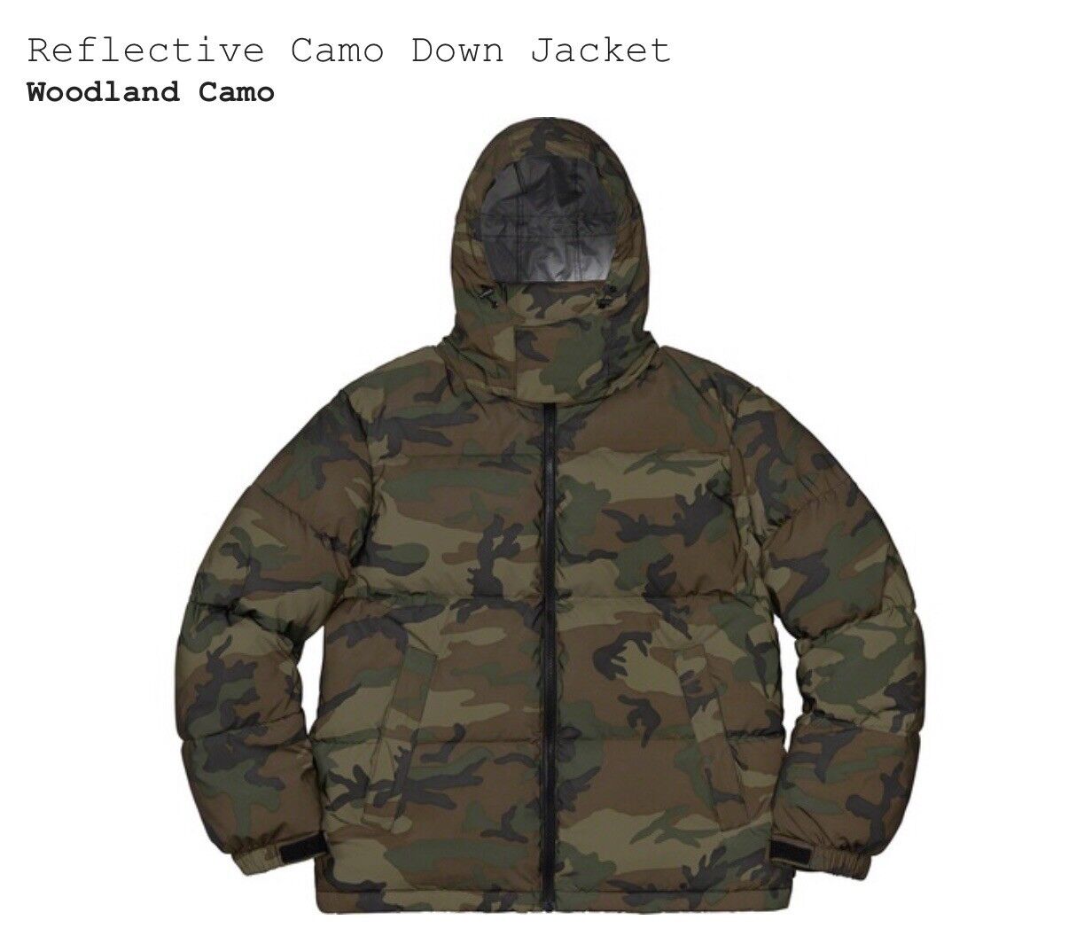 Supreme FW18 Reflective Camo Down Jacket - M - Woodland