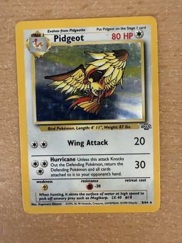 Pidgeot